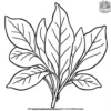 Fresh Sorrel Coloring Pages