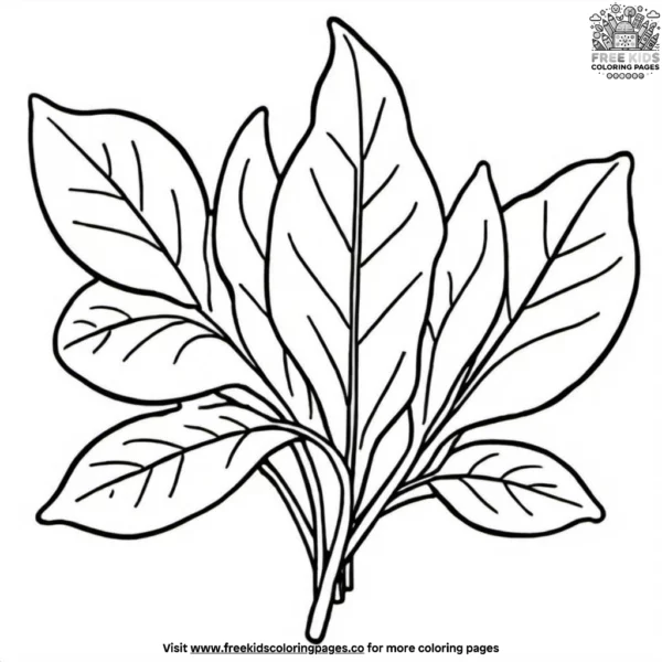 Fresh sorrel coloring pages