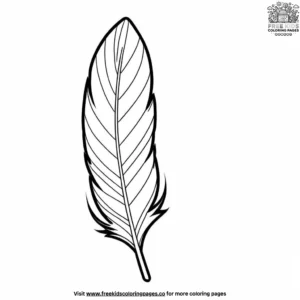 Funky Feather Designs Coloring Pages