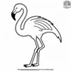 Funky Flamingo Feathers Coloring Pages