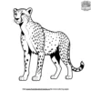 Graceful Cheetah Coloring Pages