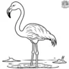 Happy Flamingo Coloring Pages