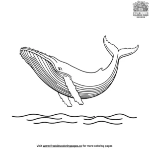 Humpback Whale Coloring Pages