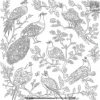 Indian Bird Coloring Pages