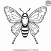 Insect World Coloring Pages