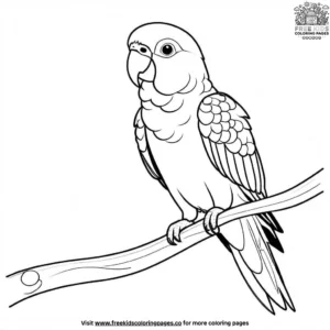 Jardine's parrot coloring pages