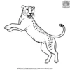 Jumping Cheetah Coloring Pages