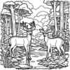 Jungle Deer Coloring Pages