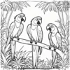 Jungle Macaws Coloring Pages