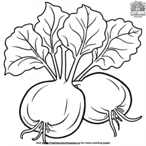 Kohlrabi Coloring Pages