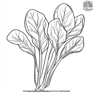 Leafy Spinach Coloring Pages