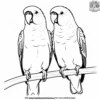 Lovebird Parrot Coloring Pages