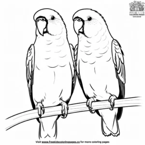 Lovebird Parrot Coloring Pages