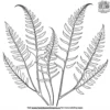 Lush Fern Glade Coloring Pages