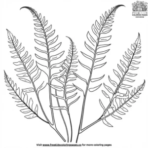 Lush fern glade coloring pages