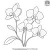 Lush Tropical Orchids Coloring Pages