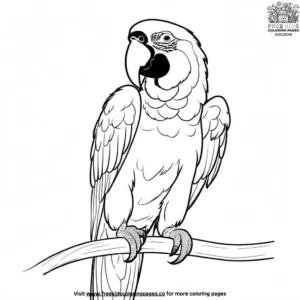 Macaw parrot coloring pages