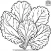 Mature Kale Coloring Pages