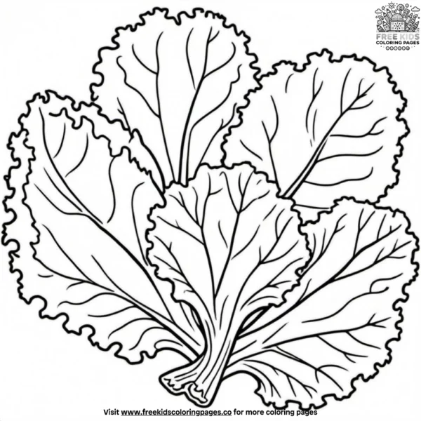 Mature kale coloring pages