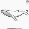 Minke Whale Swim Coloring Pages