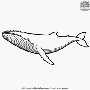 Minke Whale Swim Coloring Pages