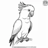 Moluccan Parrot Coloring Pages