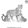 Mother Cheetah Coloring Pages