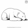 Napping Polar Bear Coloring Pages