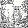 Owl Watching the Stars Coloring Pages