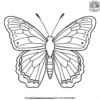 Painted Lady Butterfly Coloring Pages