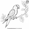 Parrot On A Tree Branch Coloring Pages