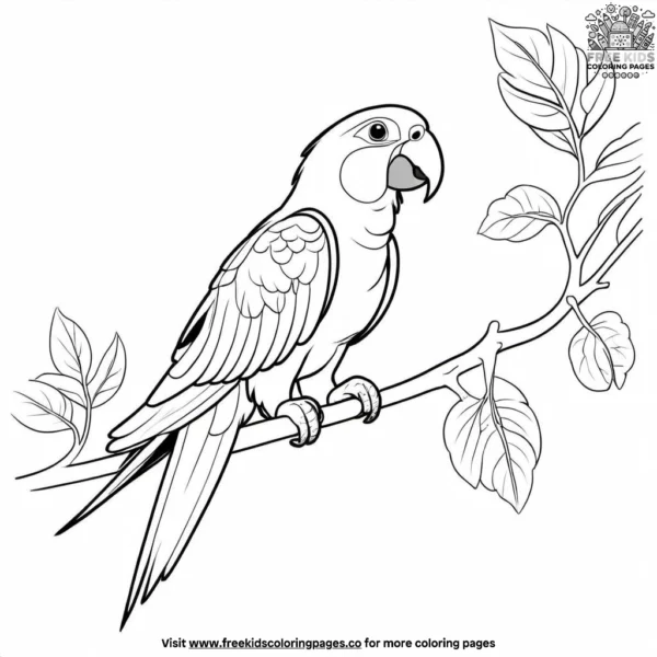 Parrot on a tree branch coloring pages