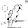 Parrot and Balloon Coloring Pages