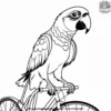 Parrot and Bicycle Coloring Pages