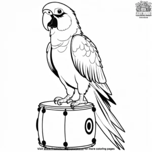 Parrot and Drum Coloring Pages