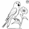 Parrot and Flower Coloring Pages