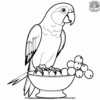 Parrot and Fruit Bowl Coloring Pages