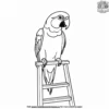 Parrot and Ladder Coloring Pages