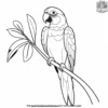 Parrot and Leaf Coloring Pages