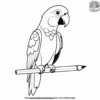 Parrot and Pencil Coloring Pages