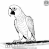 Parrot and Piano Coloring Pages