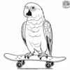 Parrot and Skateboard Coloring Pages