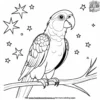 Parrot and Star Coloring Pages