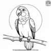 Parrot and Sun Coloring Pages