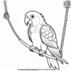 Parrot and Swing Coloring Pages