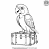 Parrot and Treasure Chest Coloring Pages