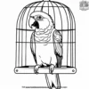 Parrot in a Cage Coloring Pages