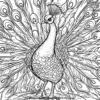 Peacock Pride Coloring Pages