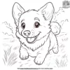 Playful Corgi Coloring Pages