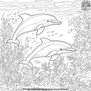 Playful Dolphin Underwater Coloring Pages